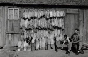 Trapping and the Oklahoma Fur Trade: Then and Now