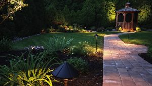 What to know about landscape lighting