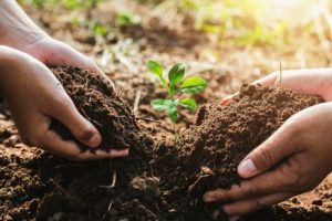 SCCD announces cost-share assistance to benefit soil and water
