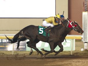Bobwhite Bobby fights to the wire for win at Remington Park