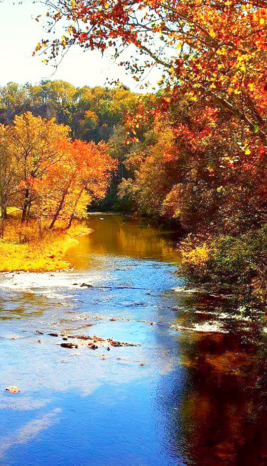 Poultry industry still refuses to abide by judge’s ruling in Illinois River Watershed case